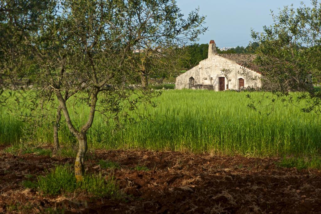 Masseria Ciavea โจเยีย เดล คอลเล ภายนอก รูปภาพ