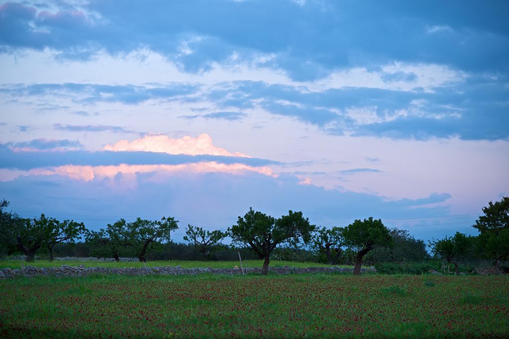 Masseria Ciavea โจเยีย เดล คอลเล ภายนอก รูปภาพ